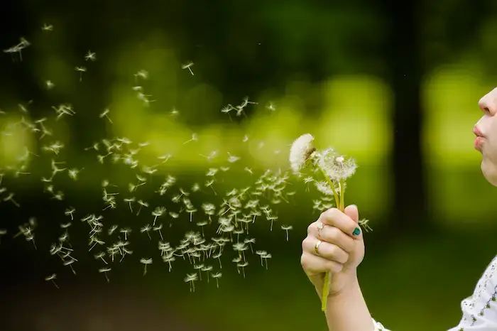 2E・ギフテッド児が学校でボーっとする「突然キレる」はなぜ起きる？
