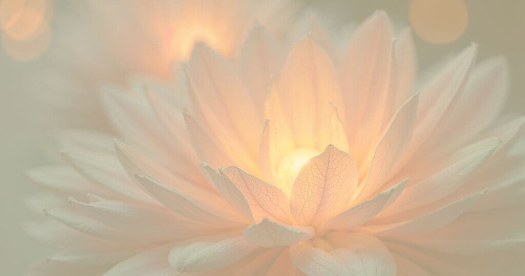 不登校sswに迷う家庭へ