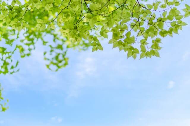 不登校で青空を見ている所